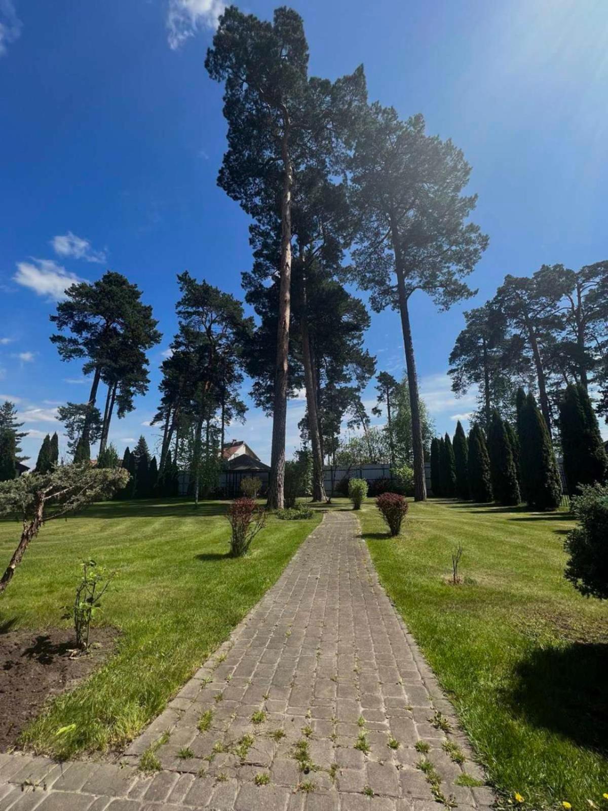 Borovik Hotell Novosilki Eksteriør bilde